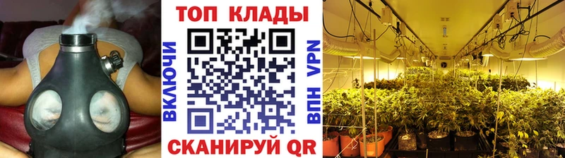 Где купить Новопавловск ГАШ COCAIN Псилоцибиновые грибы Каннабис БУТИРАТ Меф