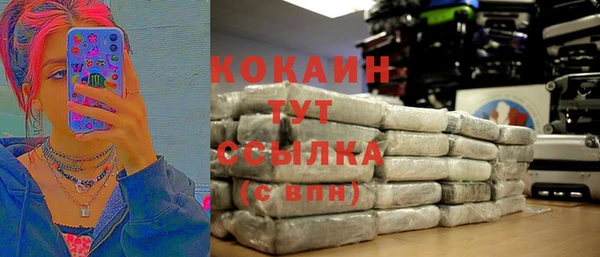 МДПВ Сосновка
